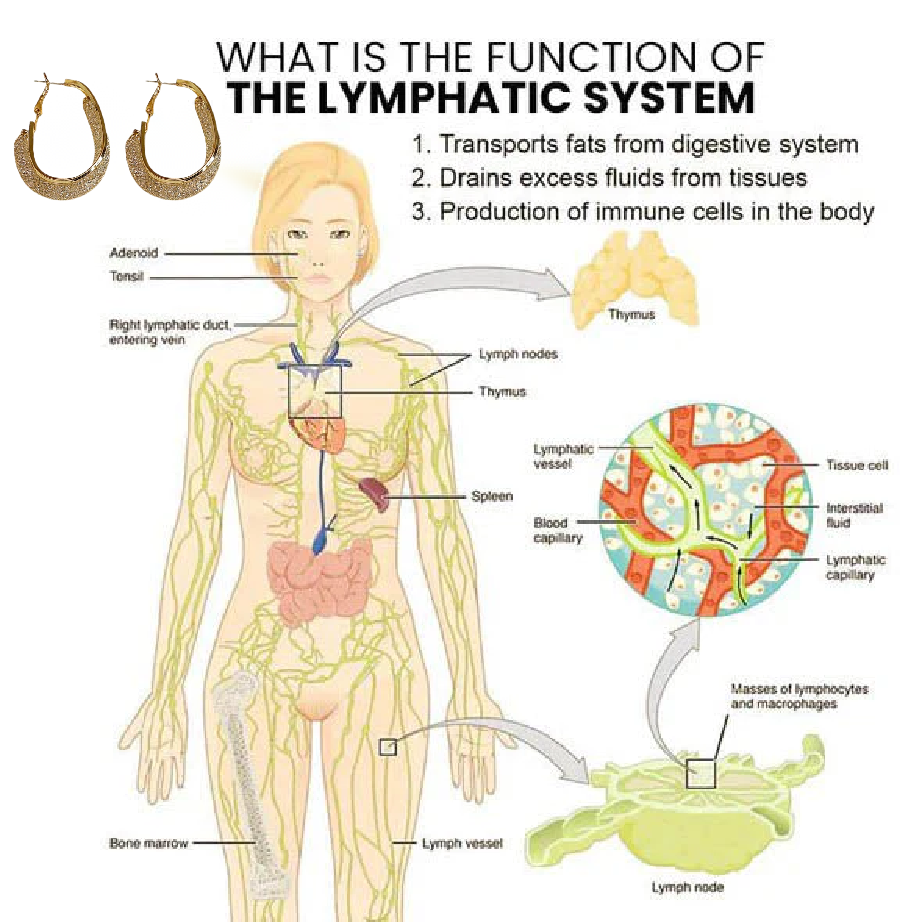 Miniyou Lymphatic drainage earrings（🔥LAST DAY SALE-50% OFF)